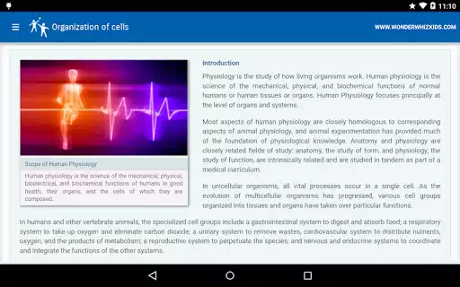 Play Organization of cells as an online game Organization of cells with UptoPlay