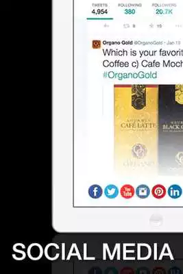 Play Organo Gold
