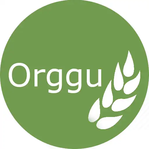 Play Orggu APK