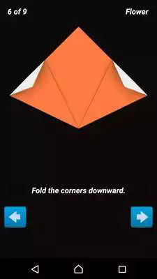 Play Origami Flower Instructions 3D