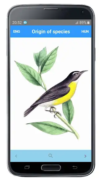 Play Origin of species  and enjoy Origin of species with UptoPlay