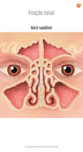 Play ORL Atlas GSK, phone  and enjoy ORL Atlas GSK, phone with UptoPlay