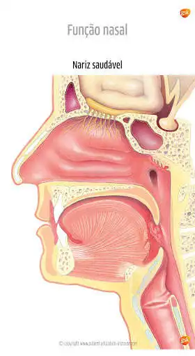 Play ORL Atlas GSK, phone as an online game ORL Atlas GSK, phone with UptoPlay