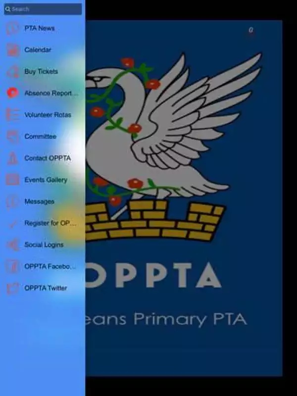 Play Orleans Primary School PTA