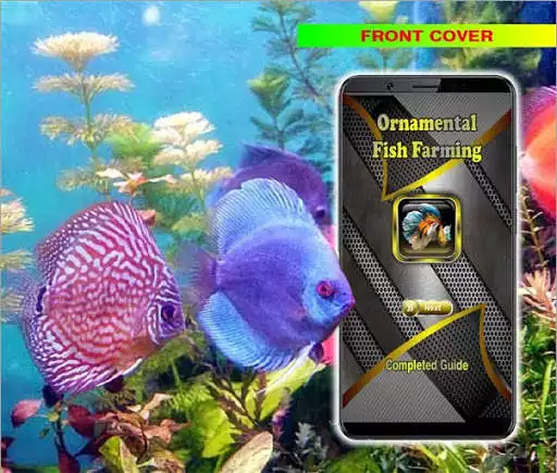 Play Ornamental Fish Culture Play Ornamental Fish Culture