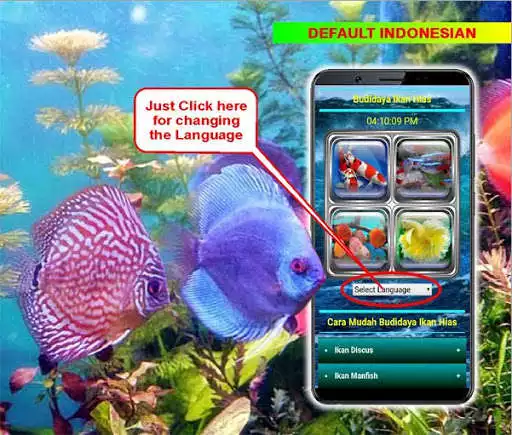 Play Ornamental Fish Culture Play Ornamental Fish Culture