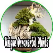Free play online Ornamental Plants Ideas APK Free play online Ornamental Plants Ideas APK