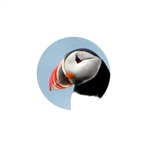 Play Ornidroid APK