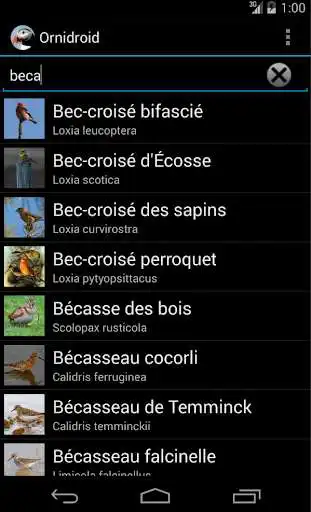 Play Ornidroid as an online game Ornidroid with UptoPlay