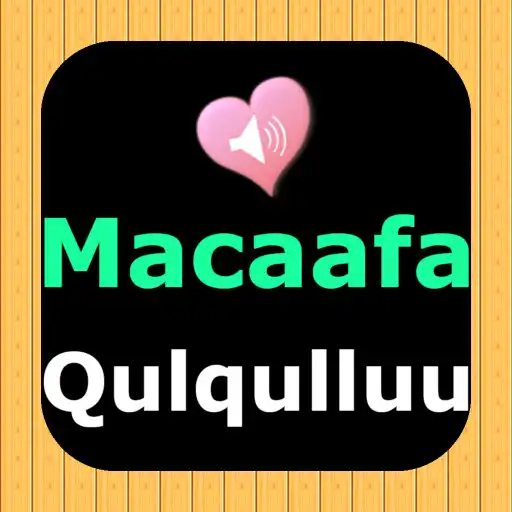 Play Oromo English Audio Holy Bible APK