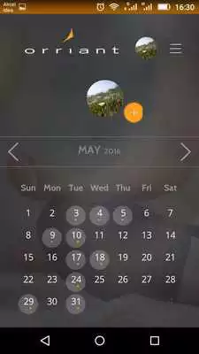 Play Orriant Wellness