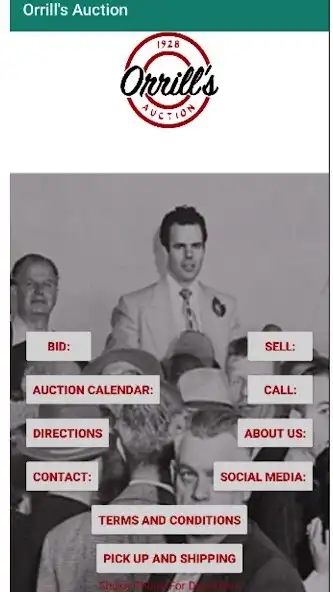 Play Orrills Auction  and enjoy Orrills Auction with UptoPlay