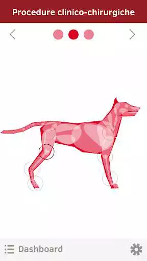 Play OrthovetPlus  and enjoy OrthovetPlus with UptoPlay