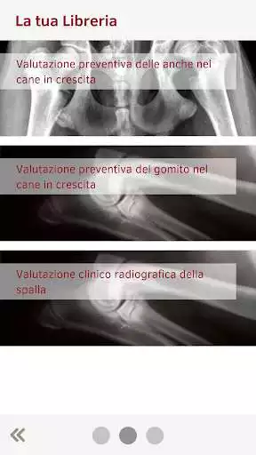 Play OrthovetPlus as an online game OrthovetPlus with UptoPlay