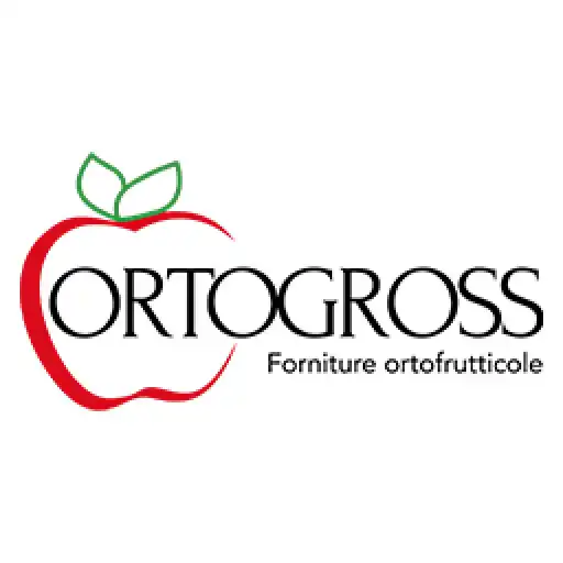 Play ORTOGROSS APK