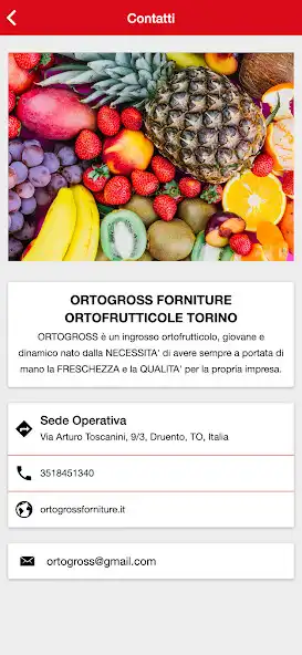 Play ORTOGROSS as an online game ORTOGROSS with UptoPlay