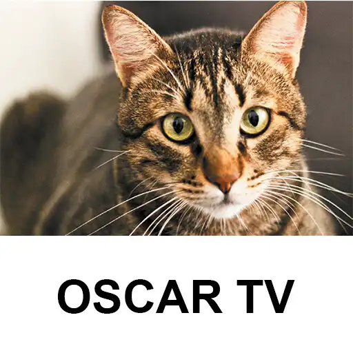 Play Oscar Tv APK Play Oscar Tv APK