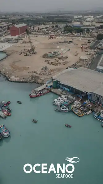 Play OsfMovil  and enjoy OsfMovil with UptoPlay