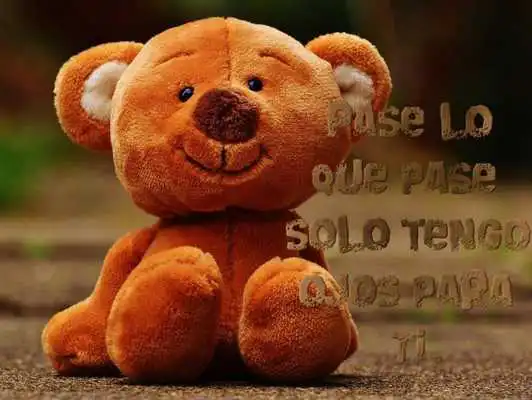 Play Ositos Love