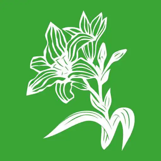 Play Ossendorf APK