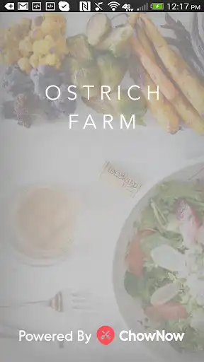 Play Ostrich Farm