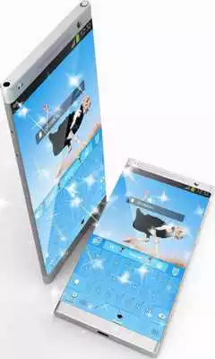 Play Ostrich GO Keyboard