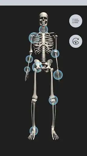 Play OT Kinesiology Pro Consult