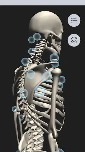 Play OT Kinesiology Pro Consult