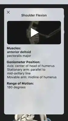 Play OT Kinesiology Pro Consult