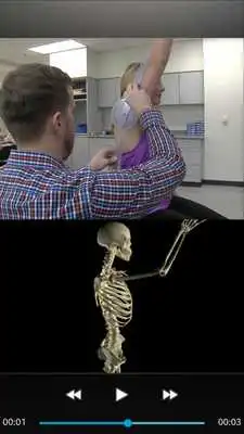 Play OT Kinesiology Pro Consult