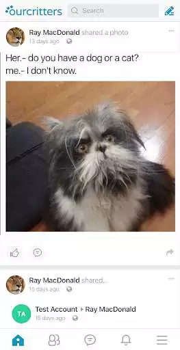 Play OurCritters as an online game online OurCritters with UptoPlay app.ourcritters.android Play OurCritters as an online game OurCritters with UptoPlay