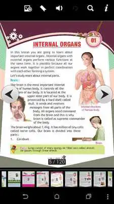 Play Our Environment-4