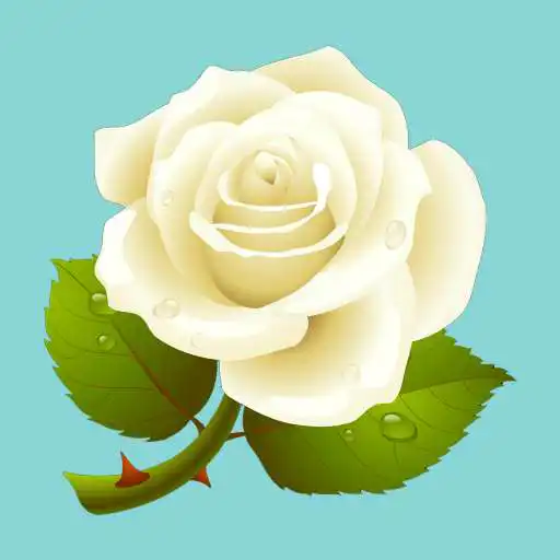 Play OurWeddingBook APK