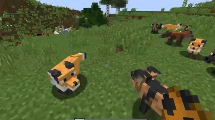 Play Outfox Mod for MCPE