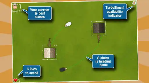 Play Oveja the Sheep!