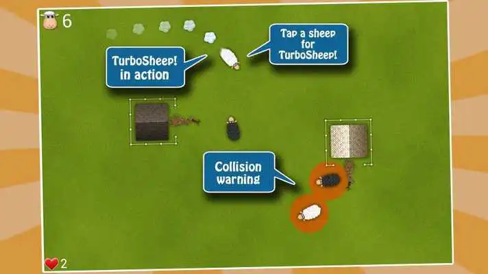 Play Oveja the Sheep!