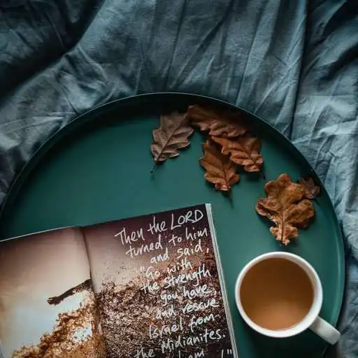 Play Overcomers Bible APK