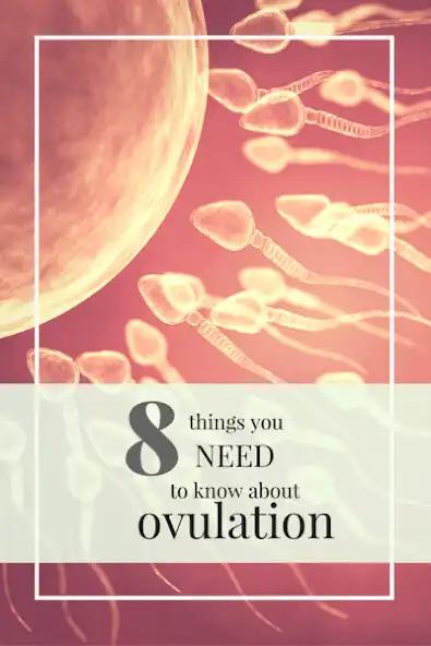 Play ovulation bleeding as an online game ovulation bleeding with UptoPlay