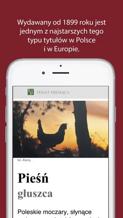 Play Łowiec Polski as an online game Łowiec Polski with UptoPlay