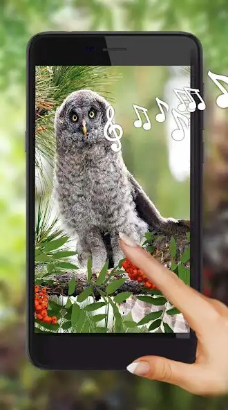 Play Owl Collection live wallpaper and enjoy Owl Collection live wallpaper with UptoPlay Play Owl Collection live wallpaper and enjoy Owl Collection live wallpaper with UptoPlay