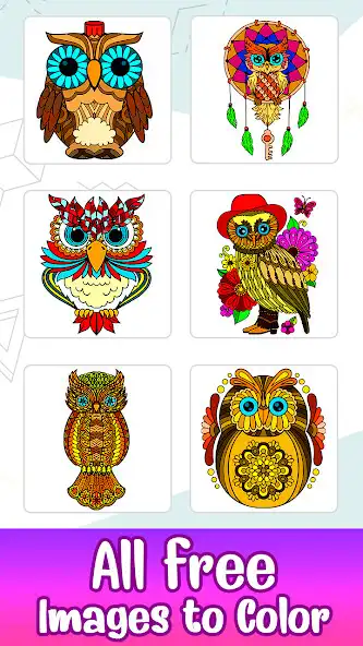 Play Owl Color by Number - Birds Coloring Book Pages  and enjoy Owl Color by Number - Birds Coloring Book Pages with UptoPlay