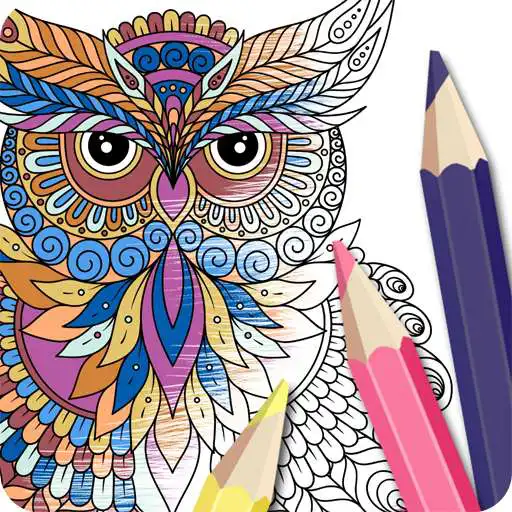 Free play online owl coloring book  APK