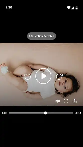 Play Owlet as an online game Owlet with UptoPlay