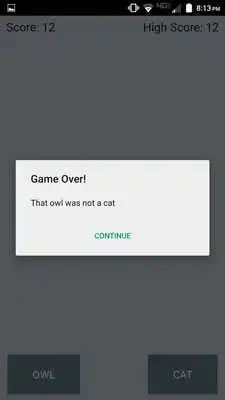 Play Owl or Cat