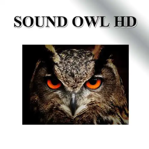 Run free android online Owl owl sound APK