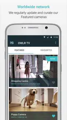 Play OWLR TV - the worlds webcams