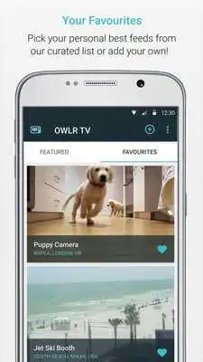 Play OWLR TV - the worlds webcams