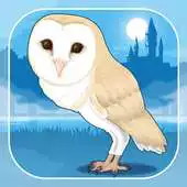 Free play online Owl Simulation Game APK