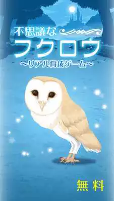 Play Owl Simulation Game