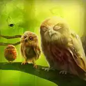 Free play online Owls Live Wallpaper Trial APK Free play online Owls Live Wallpaper Trial APK